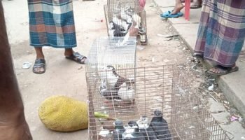 285687172_10228091913194146_3018287558395623656_n